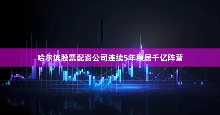 哈尔滨股票配资公司连续5年稳居千亿阵营