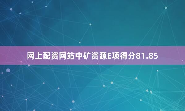 网上配资网站中矿资源E项得分81.85