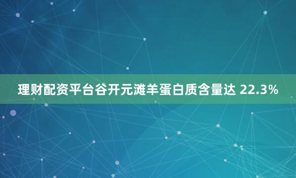 理财配资平台谷开元滩羊蛋白质含量达 22.3%