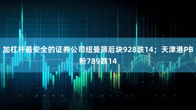 加杠杆最安全的证券公司纽曼筛后块928跌14；天津港PB粉789跌14