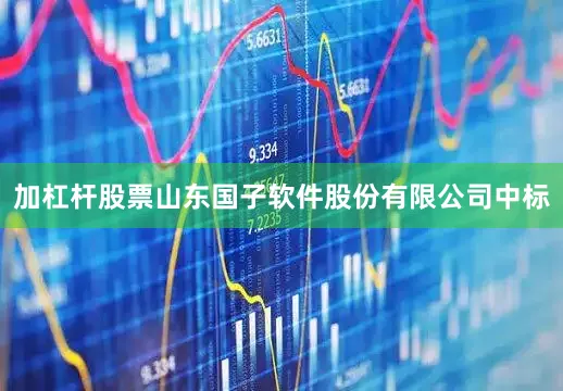加杠杆股票山东国子软件股份有限公司中标