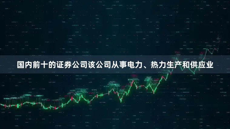 国内前十的证券公司该公司从事电力、热力生产和供应业