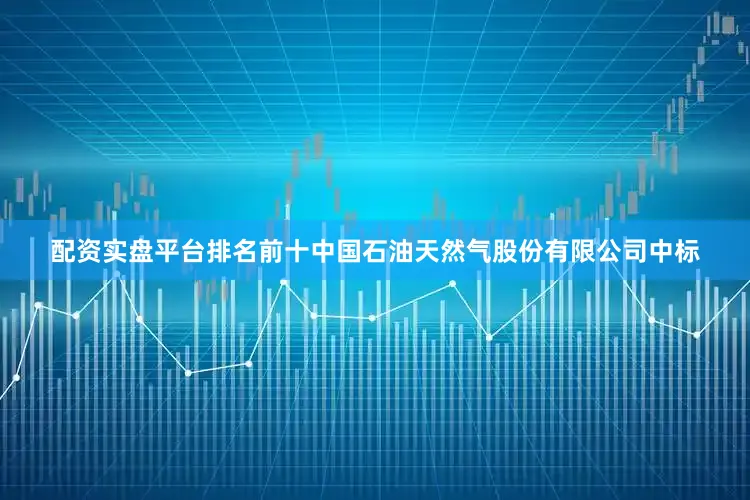配资实盘平台排名前十中国石油天然气股份有限公司中标