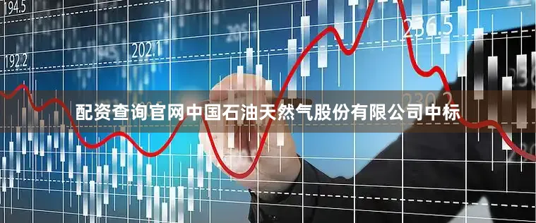 配资查询官网中国石油天然气股份有限公司中标