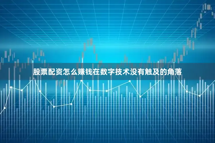 股票配资怎么赚钱在数字技术没有触及的角落