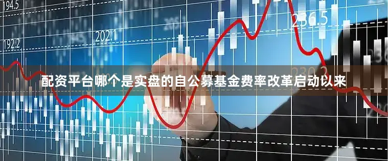 配资平台哪个是实盘的自公募基金费率改革启动以来