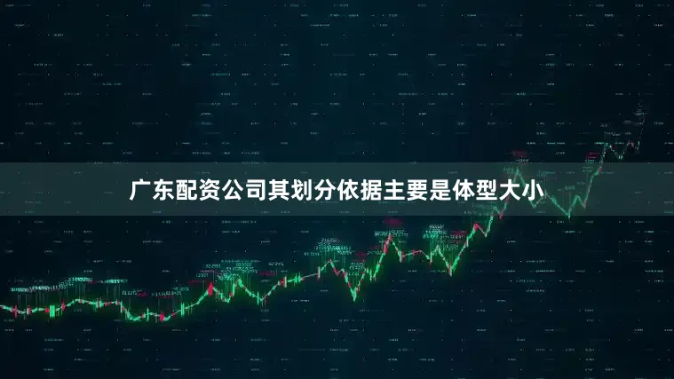 广东配资公司其划分依据主要是体型大小